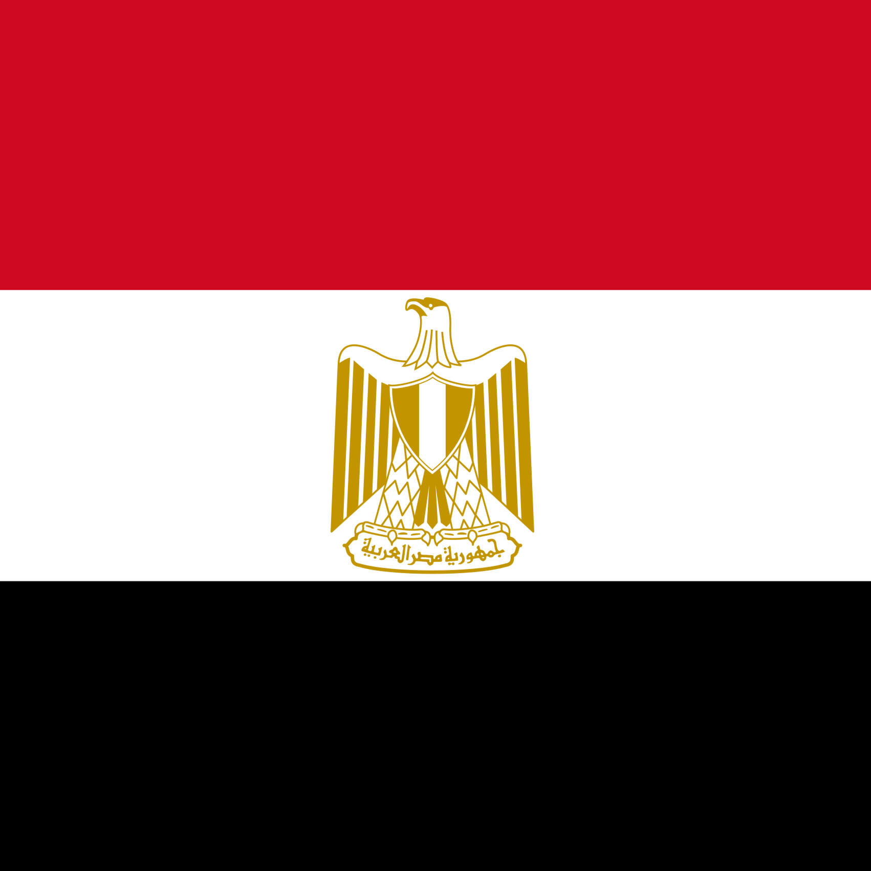 Startup Founder in Scale-up Accelerator (2025), Egypt